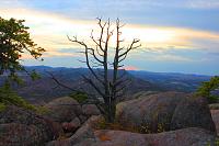 Click image for larger version. 

Name:	wichitaTreeSunset.jpg 
Views:	192 
Size:	2.05 MB 
ID:	10850
